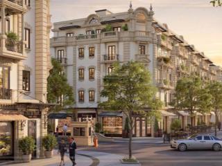 Mở bán liền kề biệt thự the presiden park cạnh vin gren bay trực tiếp từ cđt . 0822 281 ***