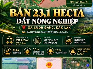 Bán 23,1 hecta đất nông nghiệp quy mô lớn