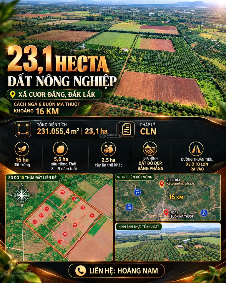 Bán 23,1 hecta đất nông nghiệp quy mô lớn