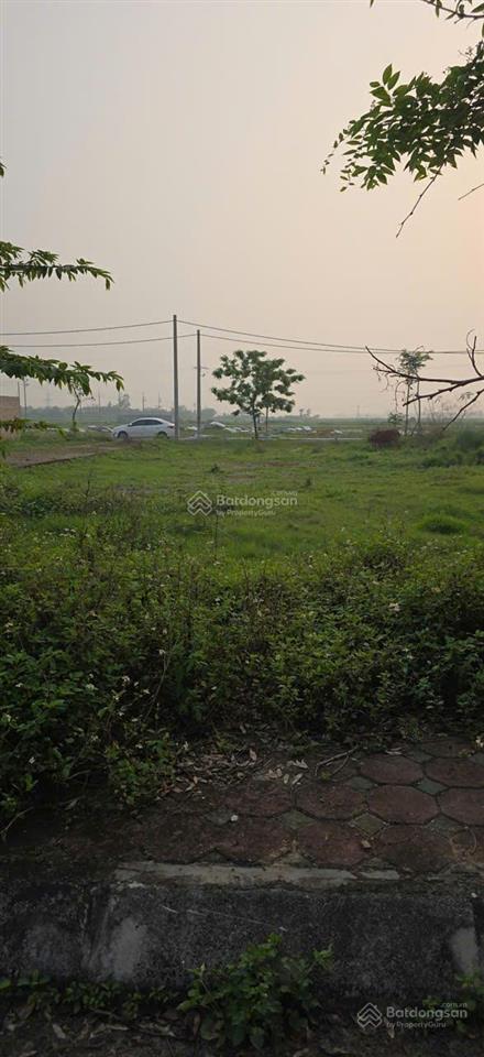 Cần tiền bán gấp lô đấu giá trại chăn nuôi tân ước sát dự án vin olympic tiềm năng sinh lời cao.