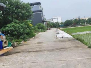 Cắt lỗ gấp! lô đẹp đấu giá mả tre,bình minh,thanh oai hơn 6 tỷ gần trường cách vành đai 4 600m
