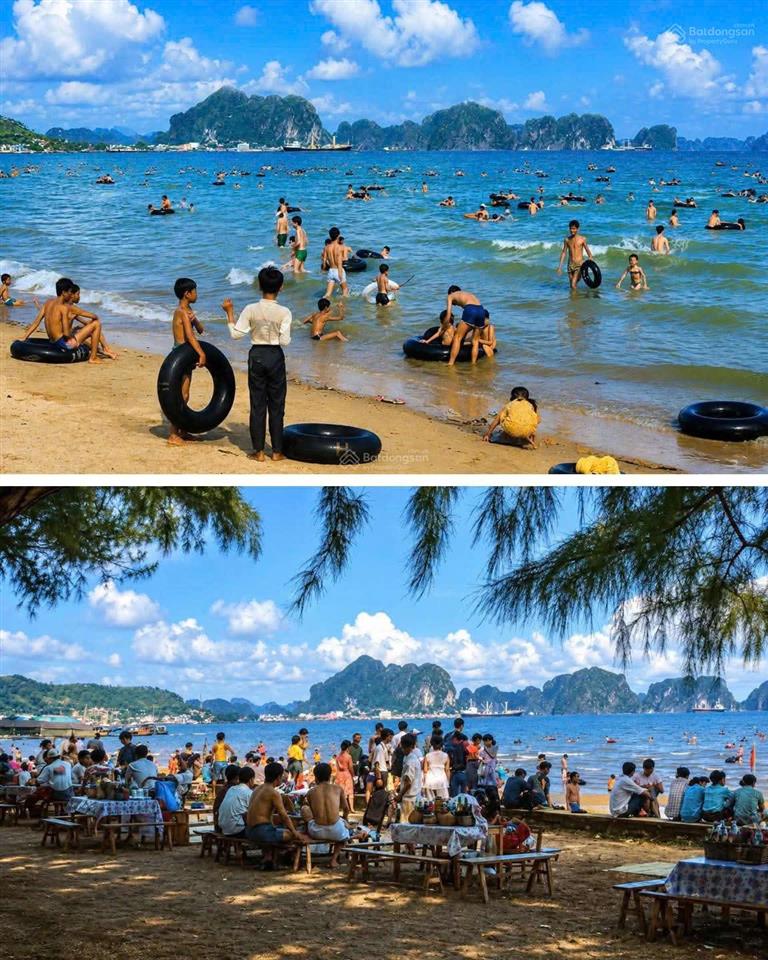 Đừng bỏ qua lô đất khu đô thị phân lô hải xuân này, sau 23 năm có thể x3, x5 lần giá trị