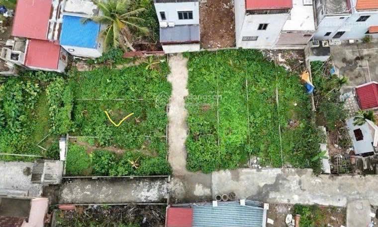 Chủ gửi bán lô đất đẹp tại ngõ 50 phố sông he, ô tô đỗ cửa, cách vinhome chỉ vài chục mét