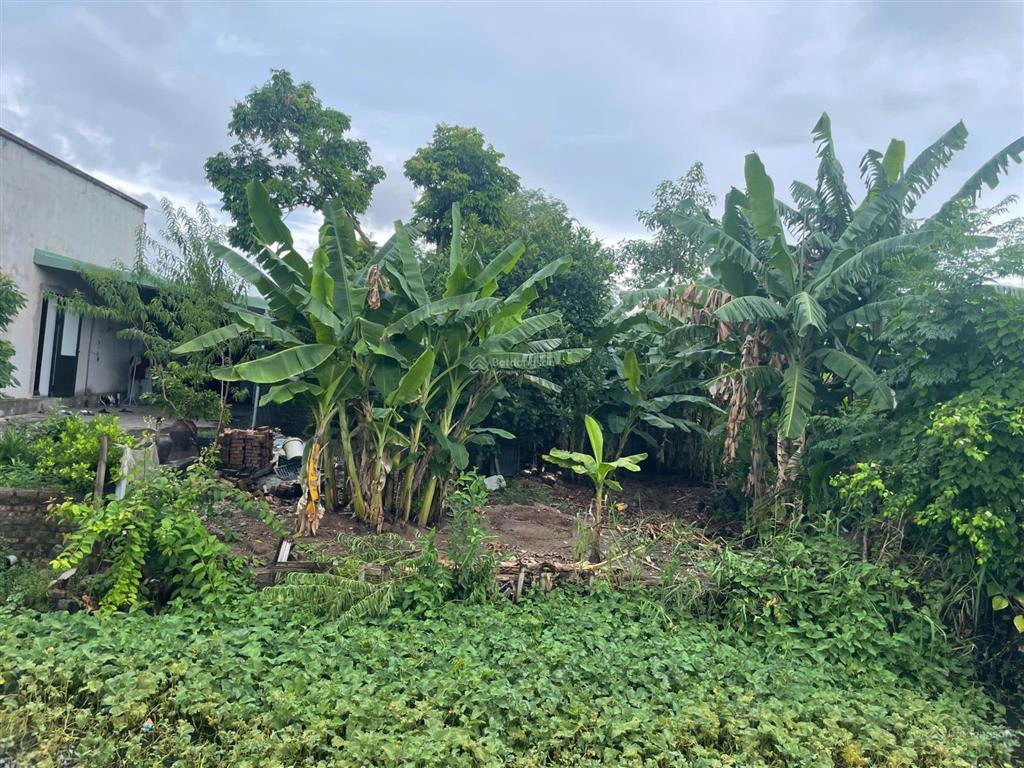 Cc bán 99,2m² mặt đường trung nghĩa, gần chợ, trường học, ubnd tiện ích đầy đủ