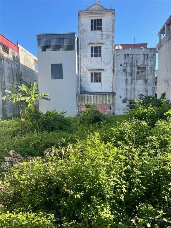 Bán đất 100m2 tuyến 2 đường thanh niên, đất vuông vắn, vị trí đẹp