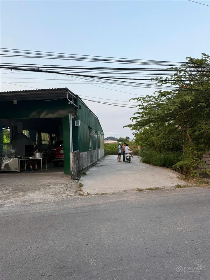 Bán đất mặt đường 361 trung tâm p bàng la, đồ sơn