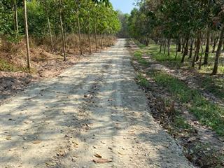 Duy nhất 800 triệu sở hữu hơn 1.000m2 sổ hồng tại long tân, dầu tiếng  sát khu công nghiệp