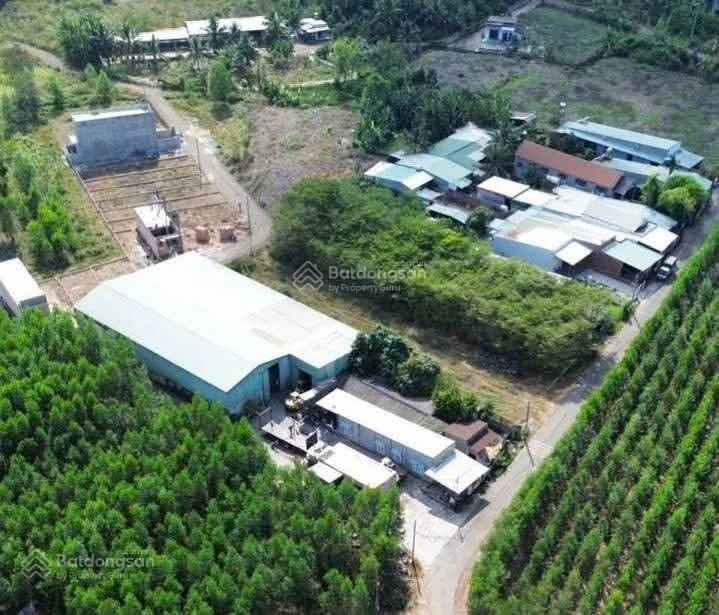 779 triệu có ngay 100m2 thổ cư an viễn, giá còn rất tốt