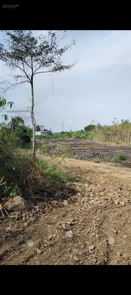 Bán đất vườn lớn gần kcn bàu xéo, 22.000m2 tại sông thao (nay bàu hàm), giá tốt