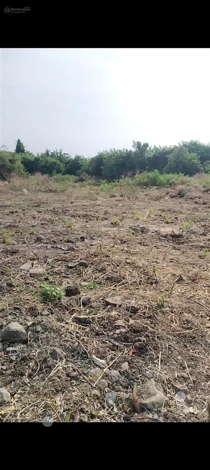 Bán đất vườn lớn gần kcn bàu xéo, 22.000m2 tại sông thao (nay bàu hàm), giá tốt