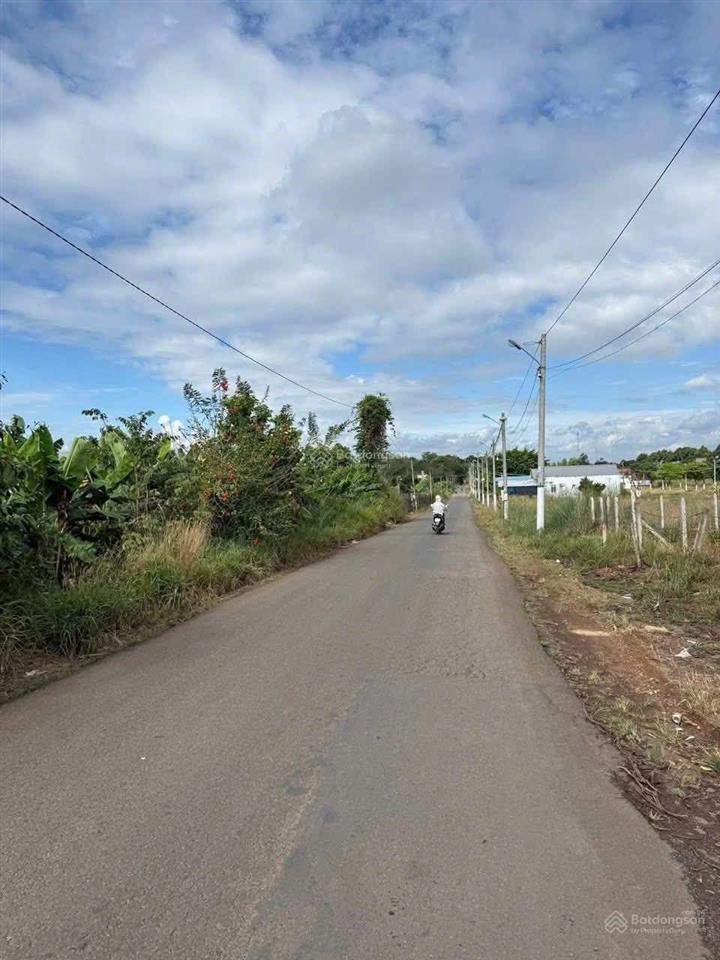 Bán đất vườn lớn gần kcn bàu xéo, 22.000m2 tại sông thao (nay bàu hàm), giá tốt