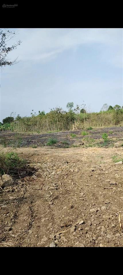 Bán đất vườn lớn gần kcn bàu xéo, 22.000m2 tại sông thao (nay bàu hàm), giá tốt