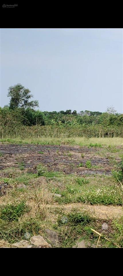 Bán đất vườn lớn gần kcn bàu xéo, 22.000m2 tại sông thao (nay bàu hàm), giá tốt