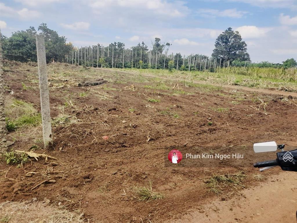 Bán đất ea hu cư kuin, đắk lắk | giá chỉ 380 triệu