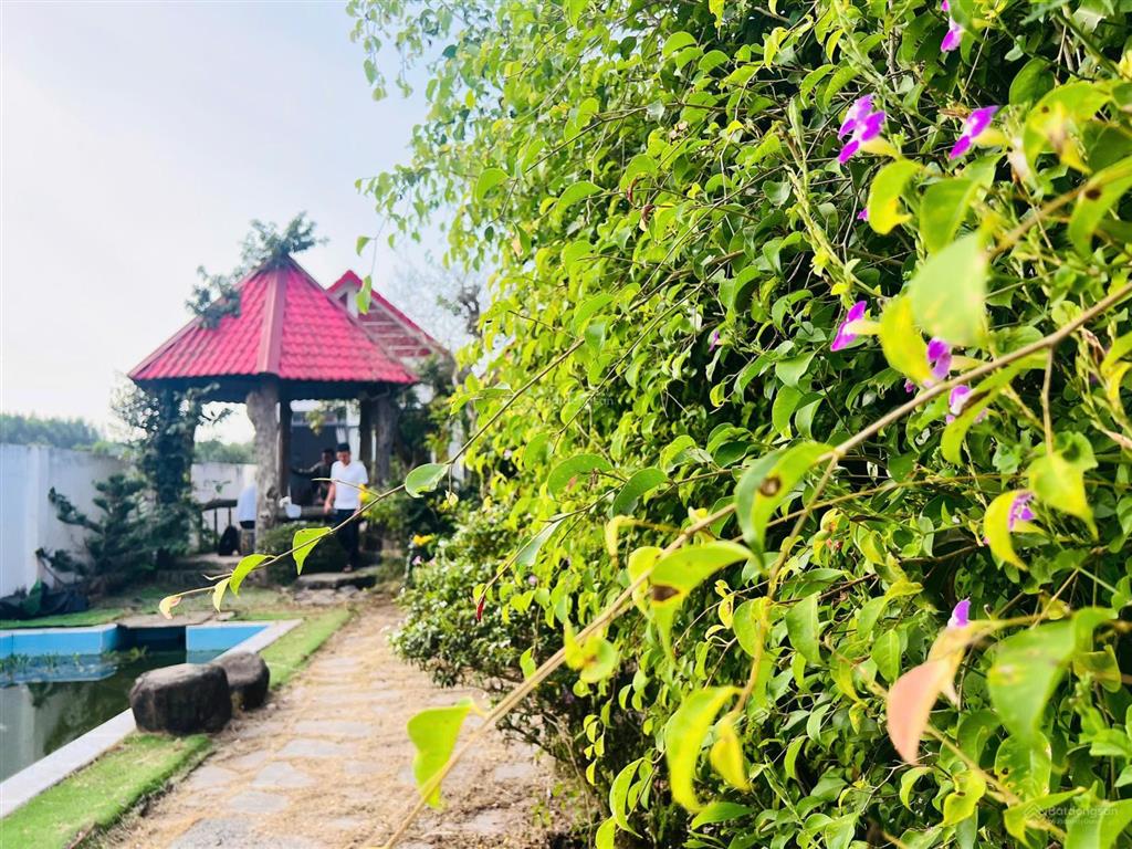 Cần bán gấp trong tháng 1  chỉ 3ty2 cho căn nhà vườn nằm trong cụm khu nhà vườn xã đất đỏ  tp hcm