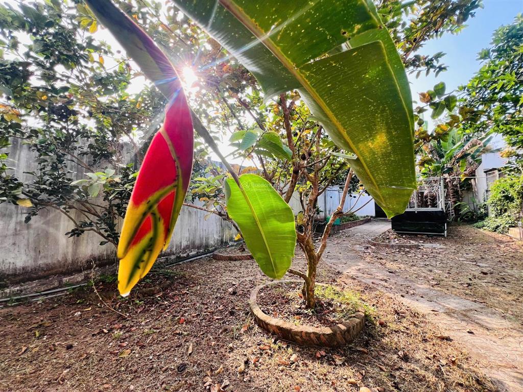 Cần bán gấp trong tháng 1  chỉ 3ty2 cho căn nhà vườn nằm trong cụm khu nhà vườn xã đất đỏ  tp hcm