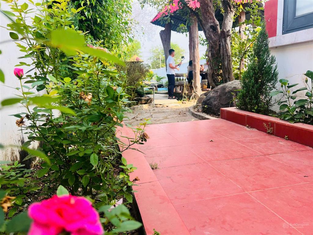 Cần bán gấp trong tháng 1  chỉ 3ty2 cho căn nhà vườn nằm trong cụm khu nhà vườn xã đất đỏ  tp hcm