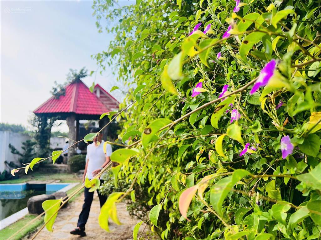 Cần bán gấp trong tháng 1  chỉ 3ty2 cho căn nhà vườn nằm trong cụm khu nhà vườn xã đất đỏ  tp hcm