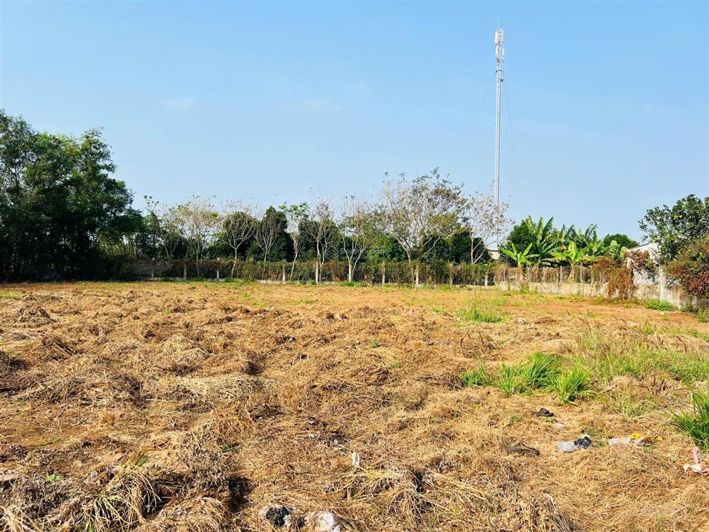 Lô này đầu tư  xây trọ bao đẹp ạ  bán 2055m² đất đường nhựa xã đất đỏ  tp hcm