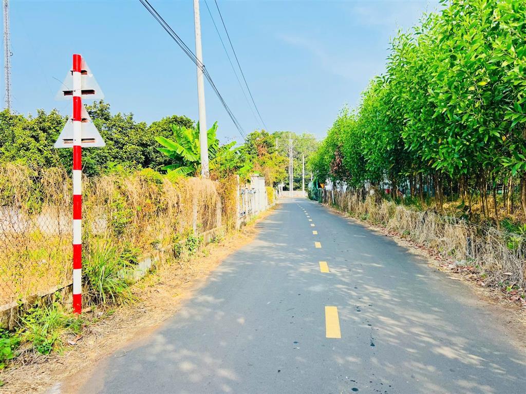 Lô này đầu tư  xây trọ bao đẹp ạ  bán 2055m² đất đường nhựa xã đất đỏ  tp hcm