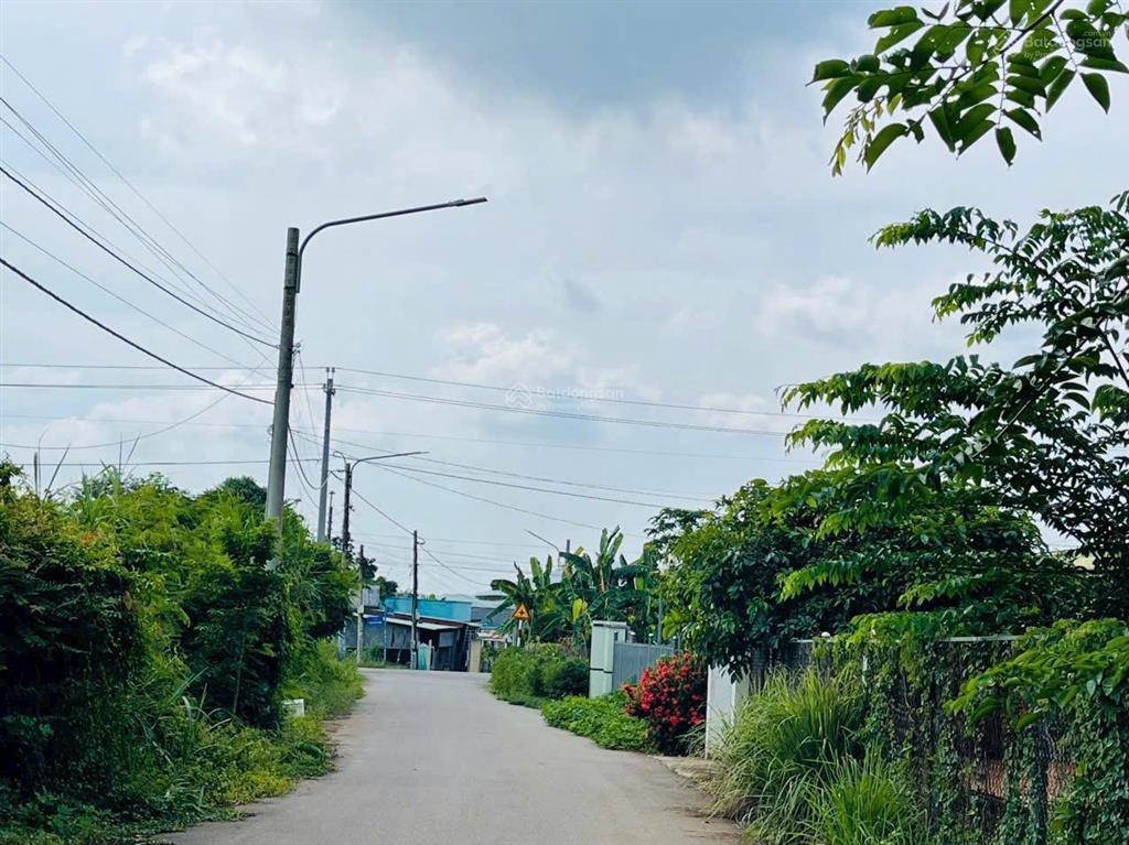 Mãnh vườn trái cây 550m2 ngay xã đất đỏ tp hcm mặt tiền nguyễn thị định giá tốt cho a/c về gần biể