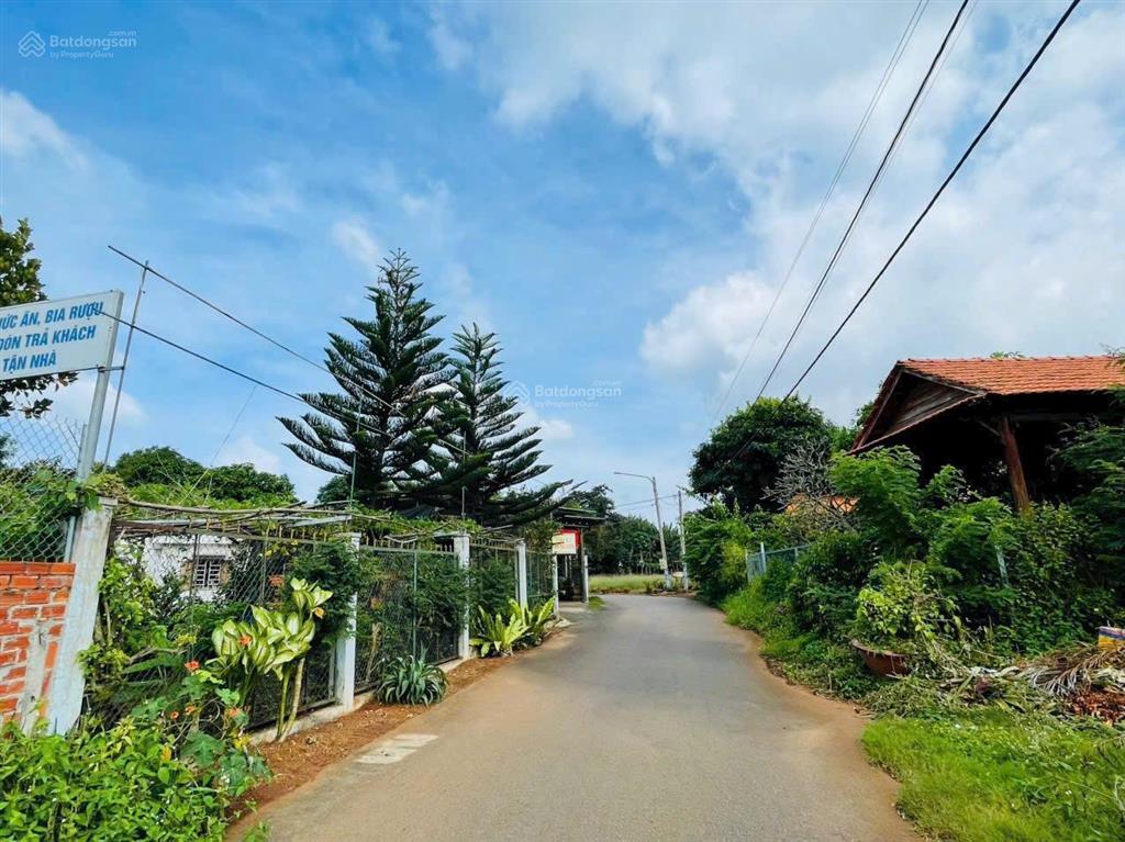 Mãnh vườn trái cây 550m2 ngay xã đất đỏ tp hcm mặt tiền nguyễn thị định giá tốt cho a/c về gần biể