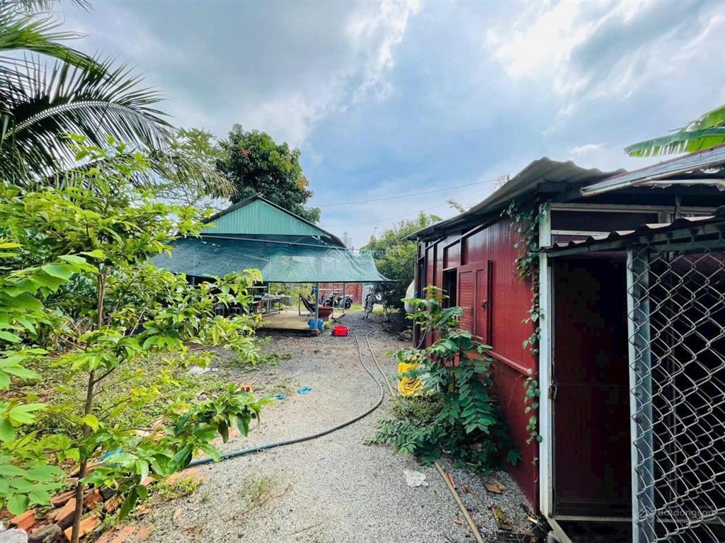 Mãnh vườn trái cây 550m2 ngay xã đất đỏ tp hcm mặt tiền nguyễn thị định giá tốt cho a/c về gần biể