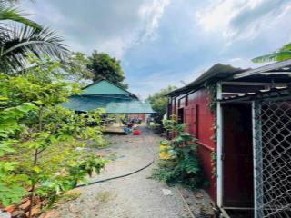 Mãnh vườn trái cây 550m2 ngay xã đất đỏ tp hcm mặt tiền nguyễn thị định giá tốt cho a/c về gần biể