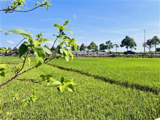 View lúa siêu đẹp ngay trung tâm xã đất đỏ  tp hcm gần sát bên các khu tiện ích giá chỉ 1tỷ2/ lô