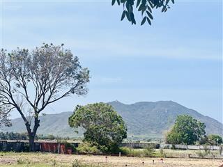 Ra gấp  mặt tiền tôn thất thuyết  thị trấn phước hải  long đất brvt