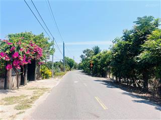 Bán vườn xoài trĩu quả xã phước hải  gần biển phước hải  tp hcm nhanh tay ạ