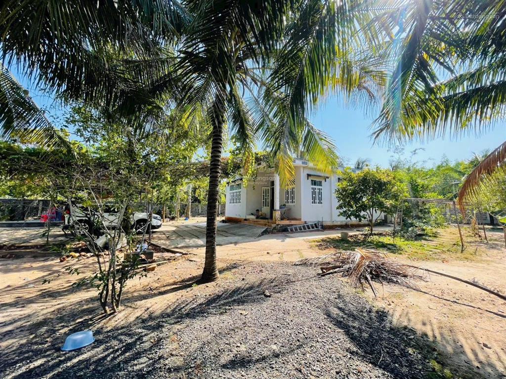 Siêu đẹp  bán mảnh nhà vườn 1.488m2 gần biển 3km  xã phước hải  tp hcm
