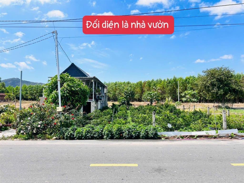 Quá đẹp gần biển phước hải chỉ 1 tỷ 2/lô  mặt tiền đường nhựa tim vàng xã phước hải  tp. hcm