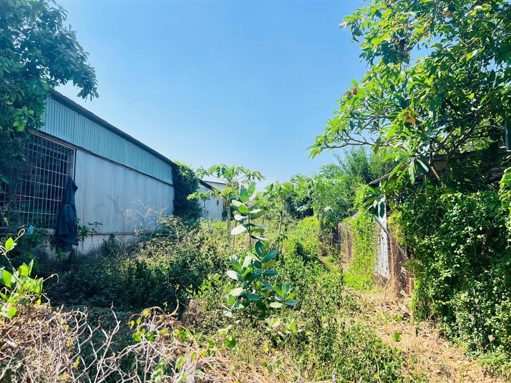 Lô đất vừa ở  đầu tư  kinh doanh đều đẹp ngay sát bên trường học võ thị sáu đất đỏ  tp hcm