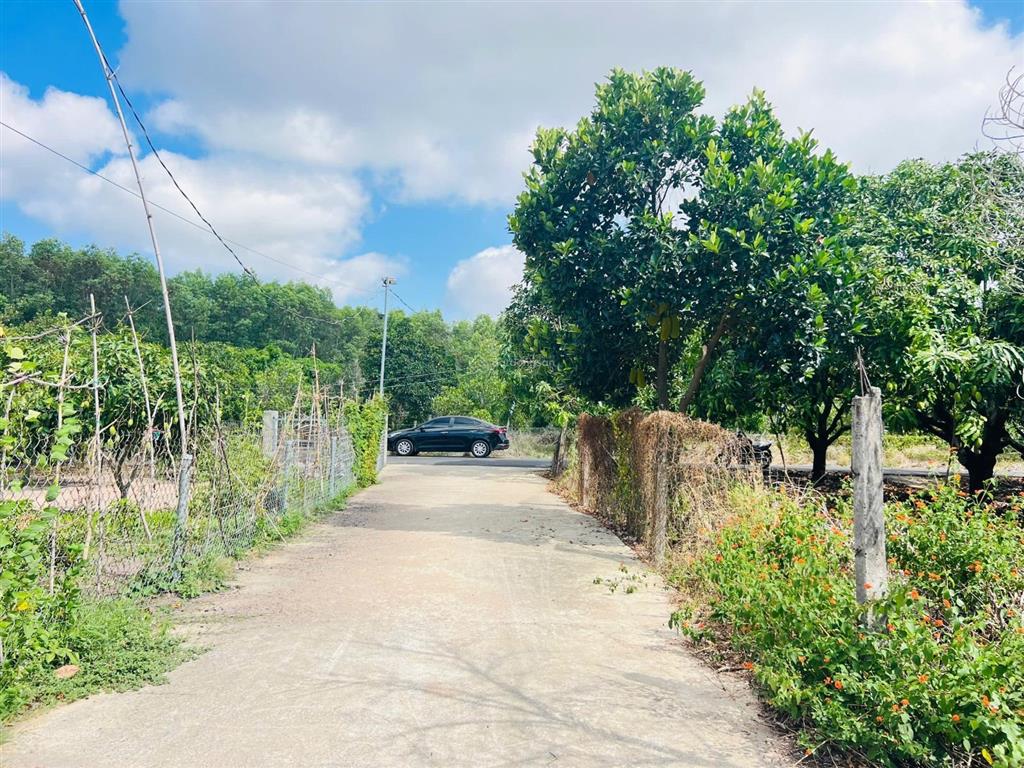 Mảnh vườn xoài 1439m2 (40x36m) thị trấn phước hải  view núi siêu đẹp  gần biển phước hải