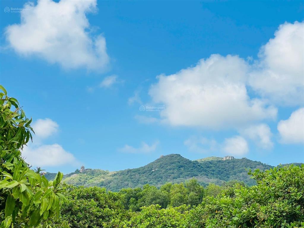Mảnh vườn xoài 1439m2 (40x36m) thị trấn phước hải  view núi siêu đẹp  gần biển phước hải