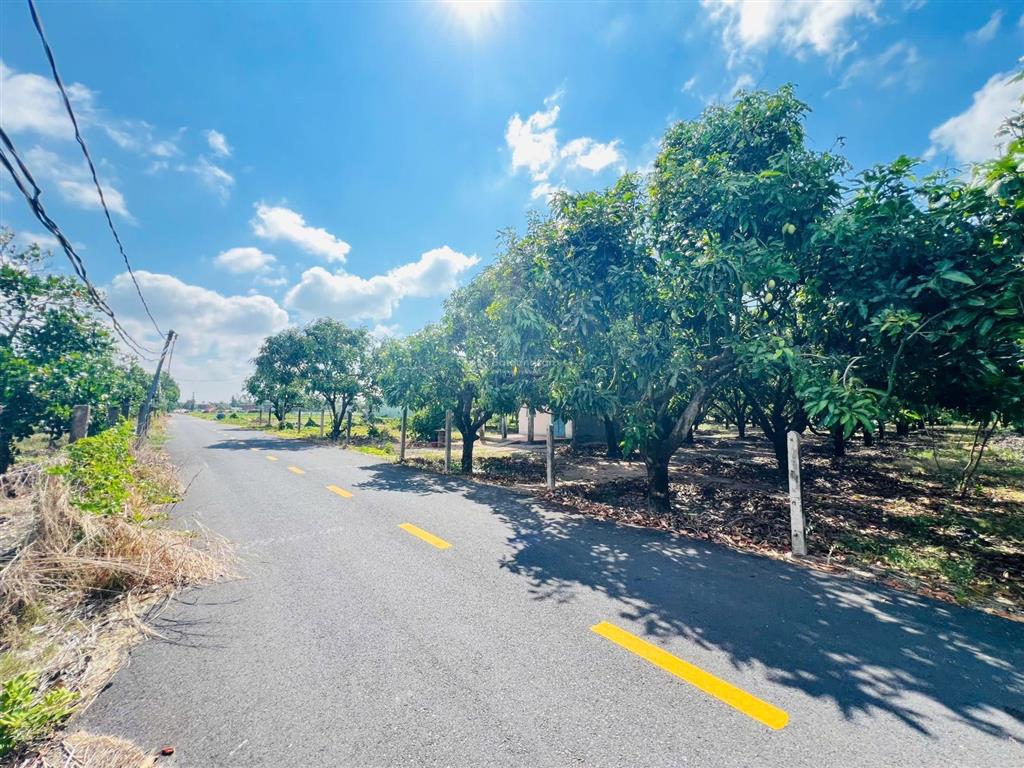 Mảnh vườn xoài 1439m2 (40x36m) thị trấn phước hải  view núi siêu đẹp  gần biển phước hải