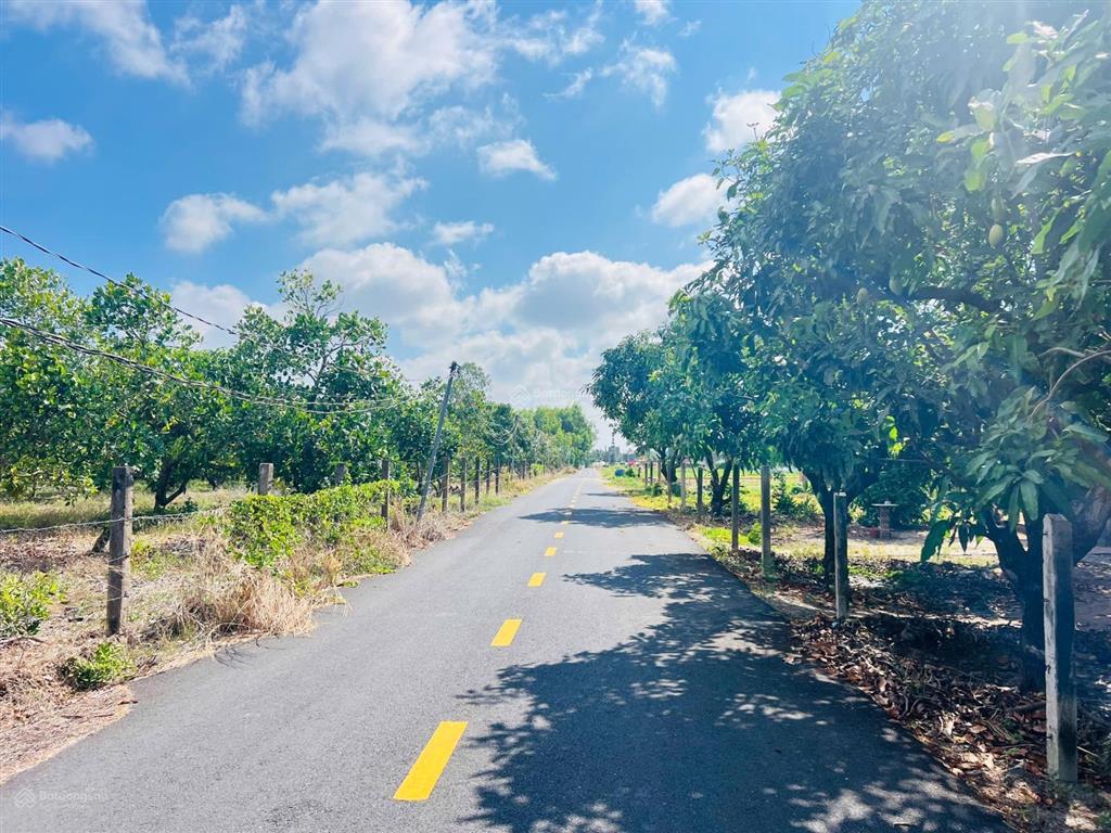 Mảnh vườn xoài 1439m2 (40x36m) thị trấn phước hải  view núi siêu đẹp  gần biển phước hải