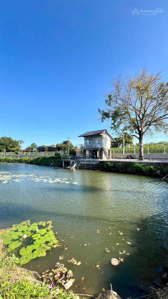 View đẹp nghỉ dưỡng gần 5 sào đất siêu đẹp có 200m mặt tiền xã đất đỏ  tp hcm