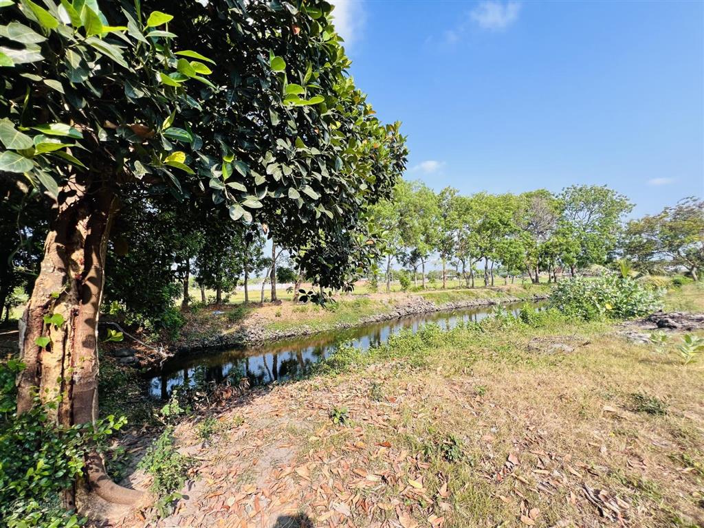 Cách biển phước hải 3km chủ cần bán 4064.9m2 sẵn 200m2 thổ cư xã phước hải  tp hcm, giá tốt