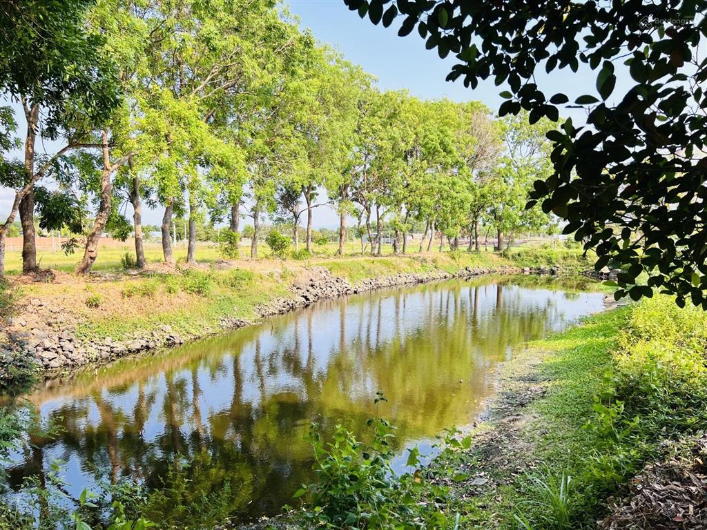 Cách biển phước hải 3km chủ cần bán 4064.9m2 sẵn 200m2 thổ cư xã phước hải  tp hcm, giá tốt