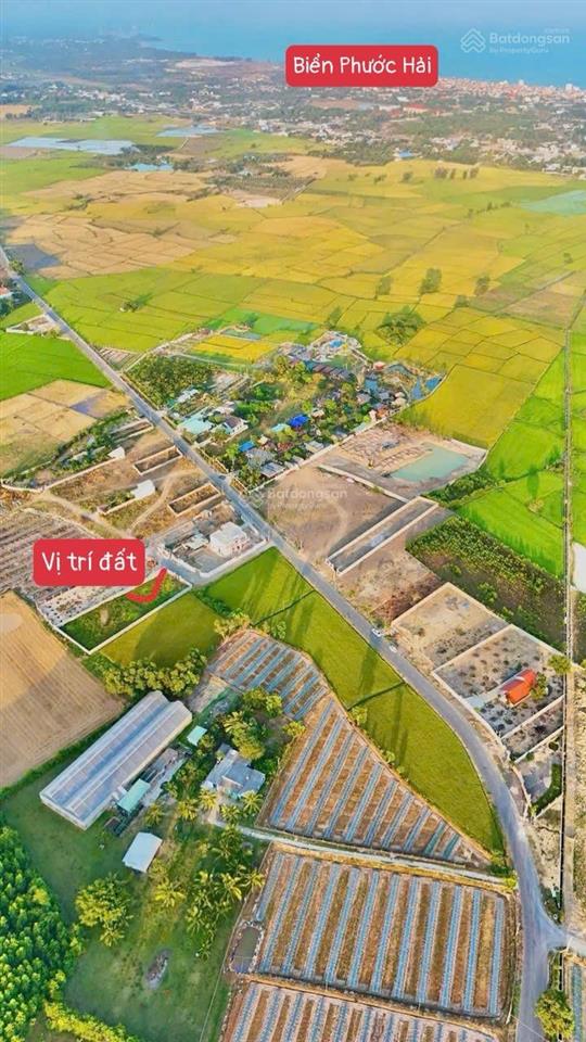 Vị trí đắc địa đi biển phước hải chỉ 2km đối diện coffee glamping đồng gió nhanh tay khách ơi.