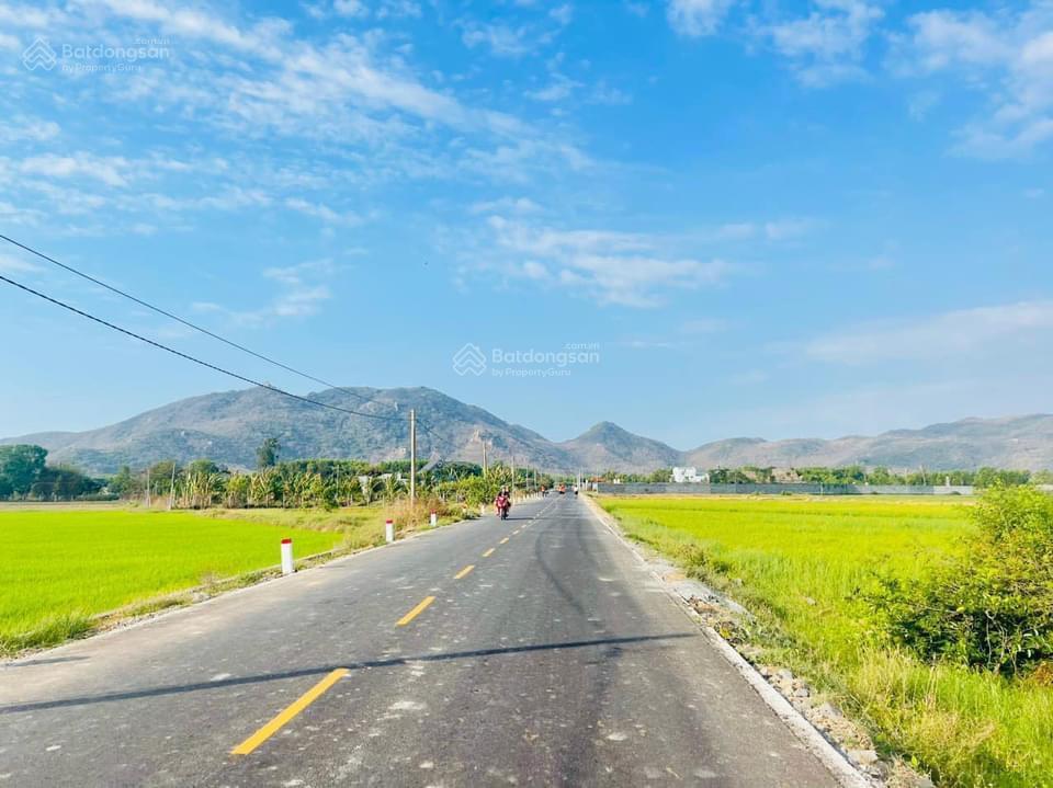 Siêu đẹp gần phước hải  vị trí đắc địa  đi biển phước hải chỉ 2km, cạnh coffee camping đồng gió