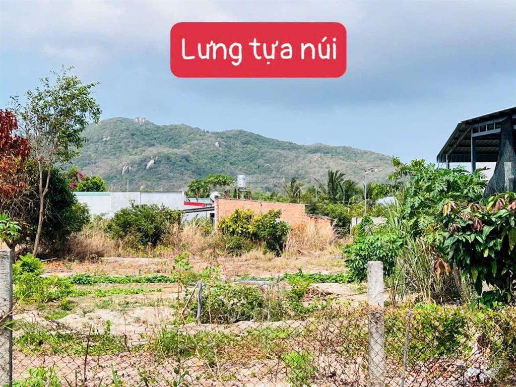 Ngang 15m hiếm  đất biển phước hải  còn duy nhất lô 500m2 (15x35) siêu đẹp  xã phước hải brvt