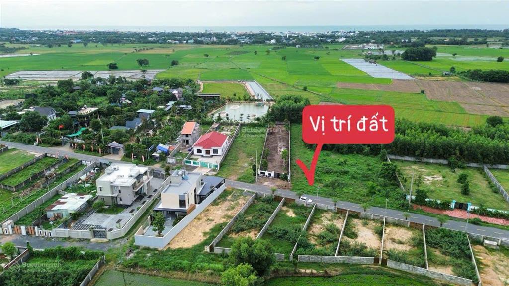 Siêu phẩm cung đường cánh đồng gió  xã phước hải  tp hcm