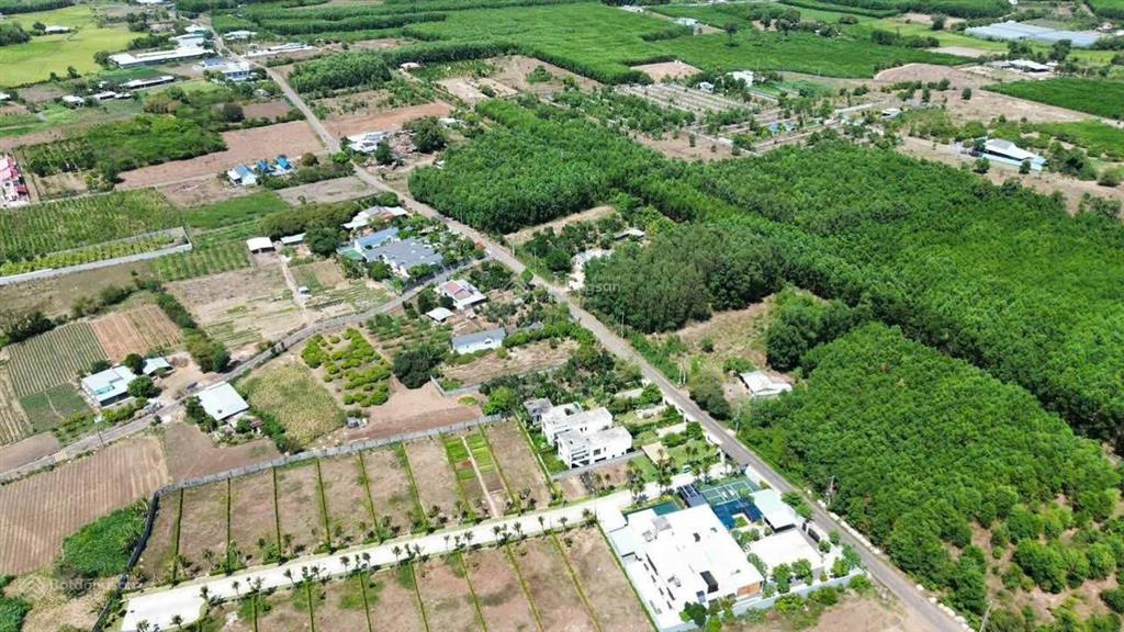 Nguyễn huệ  tuyến đường nhiều biệt thự, vila, nghỉ dưỡng nhất xã đất đỏ
