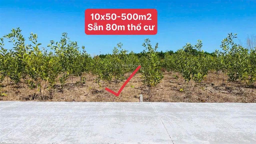 Siêu rẻ đẹp  500m2  đối diện cổng chính kcn đất đỏ  giá chỉ 1.2tỷ