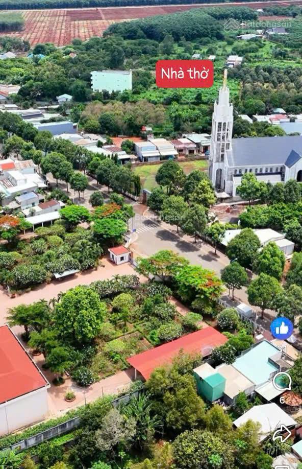 Đất vườn siêu đẹp gần 1000m2 tại long tân  đất đỏ  brvt chỉ 2.5tr/m2  nhanh tay ạ