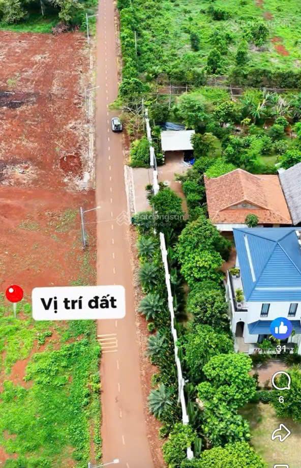 Đất vườn siêu đẹp gần 1000m2 tại long tân  đất đỏ  brvt chỉ 2.5tr/m2  nhanh tay ạ