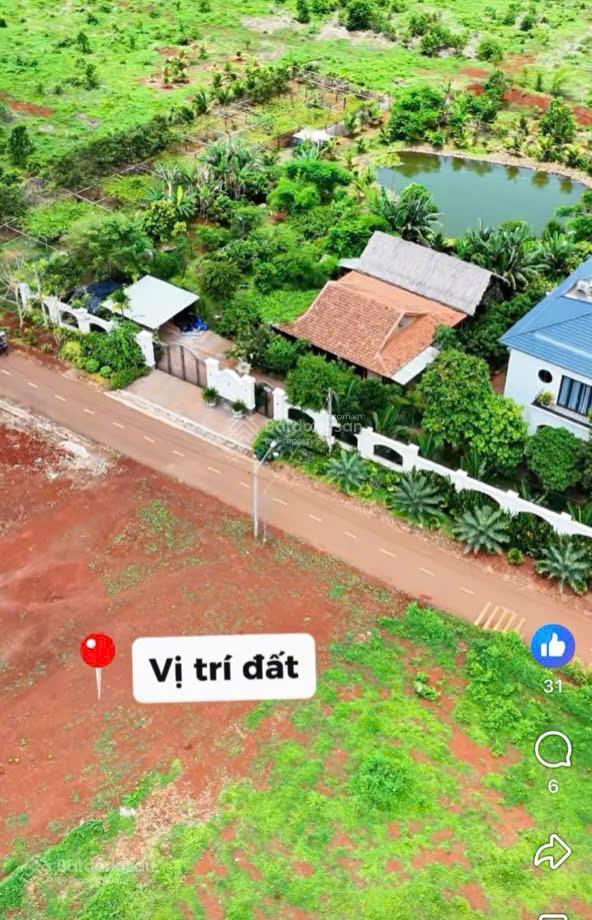 Đất vườn siêu đẹp gần 1000m2 tại long tân  đất đỏ  brvt chỉ 2.5tr/m2  nhanh tay ạ